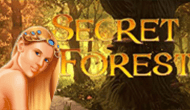 Игровой автомат Secret Forest от Максбетслотс - онлайн казино Maxbetslots